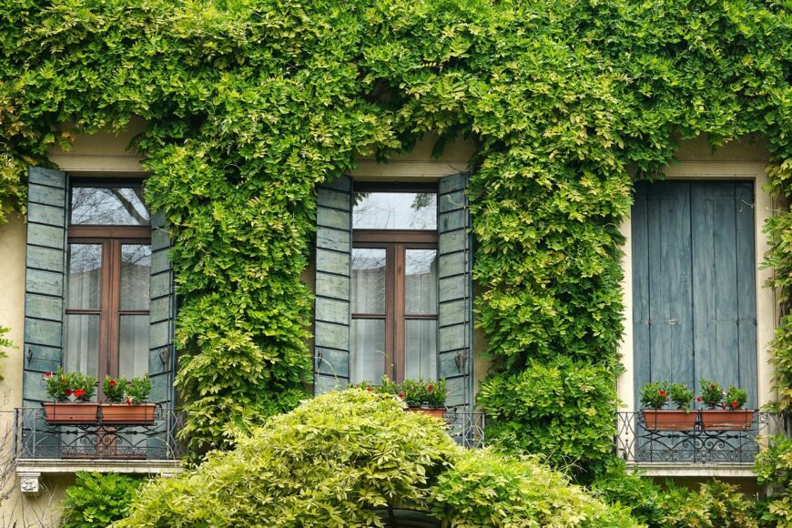 Zielone ściany jako element nowoczesnej architektury